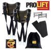 Pro Lift group Logo