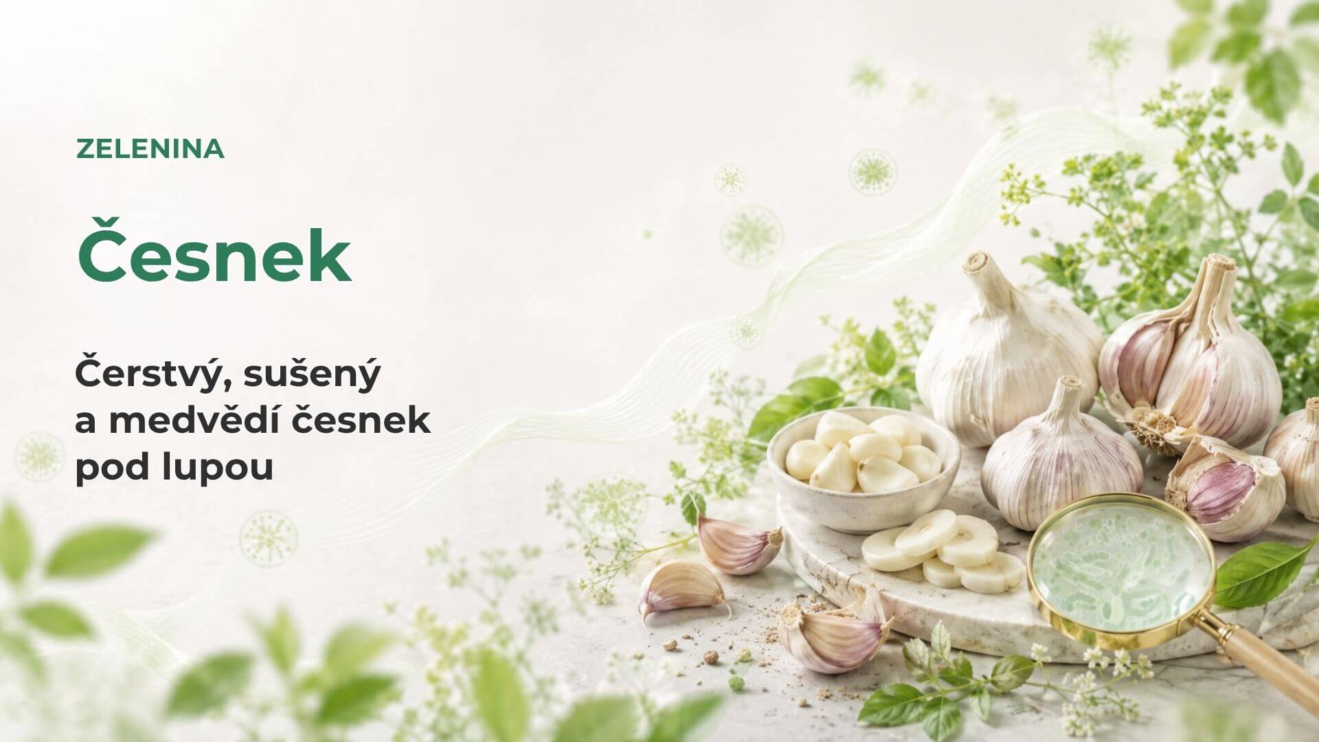 Česnek pod lupou: čerstvý, sušený a medvědí česnek