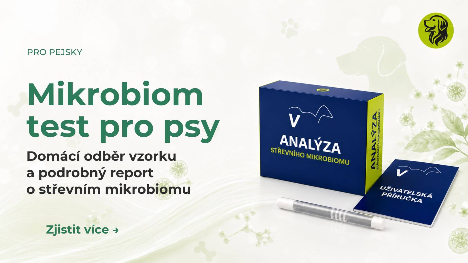 Mikrobiom test pro psy: analýza střevního mikrobiomu