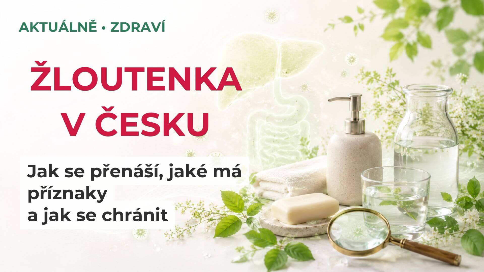 Žloutenka typu A v Česku