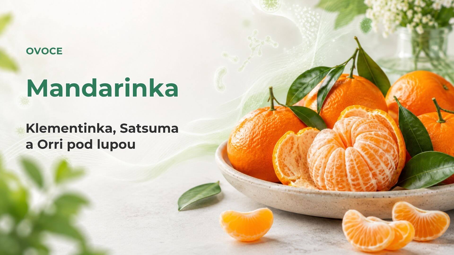 Mandarinka pod lupou: klementinka, satsuma a Orri