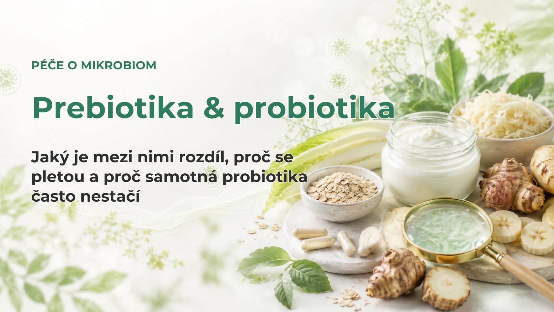 Prebiotika vs. probiotika: jednoduché vysvětlení bez marketingu