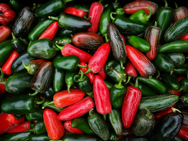 Jak na Fermentované Papričky Jalapeños