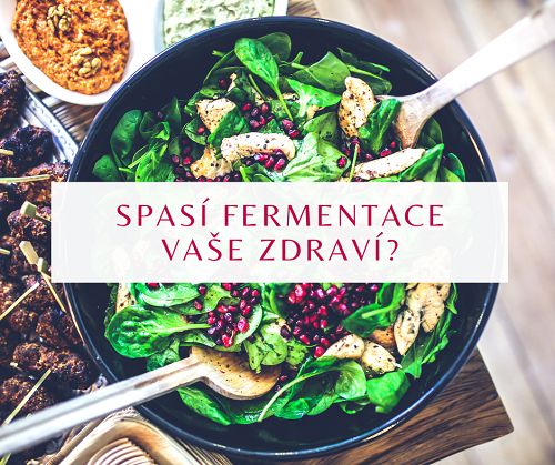 Spasí fermentace vaše zdraví?