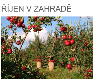 Říjen v zahradě