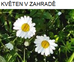 Květen v zahradě