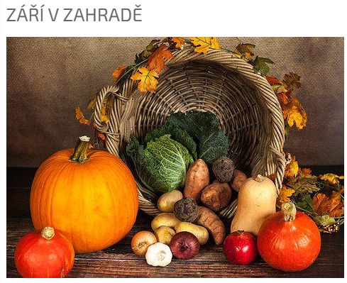 září v zahradě