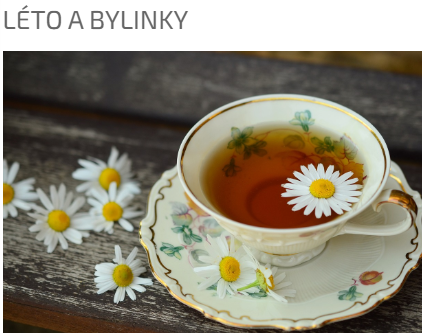 LÉTO A BYLINKY