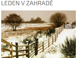 Leden v zahradě