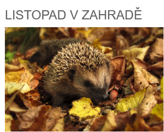LISTOPAD V ZAHRADĚ
