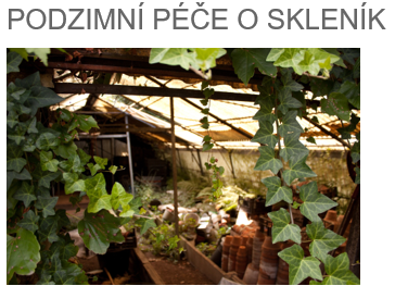 Pozimní péče o skleník