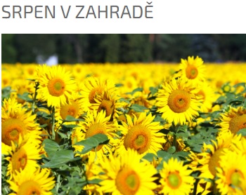 SRPEN V ZAHRADĚ