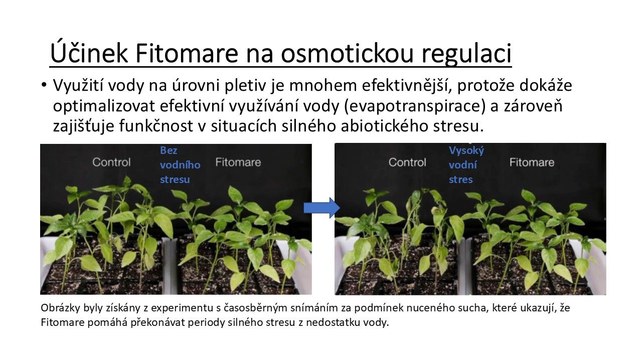 FITOMAREC2