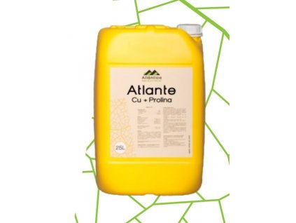 Atlante Cu+Prolina