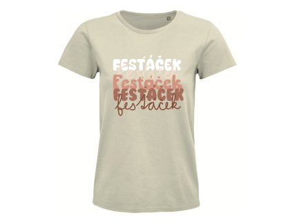 festacek 0012 Sni╠ümek obrazovky 2024 12 04 v┬á13.23.34