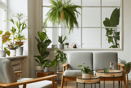 Ovládněte světlo ve svých domovech pomocí rolet Den a noc