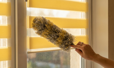 Jar je za dverami! Ako na jarné upratovanie roliet Deň a noc?