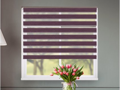 ESP I 04 open detail google