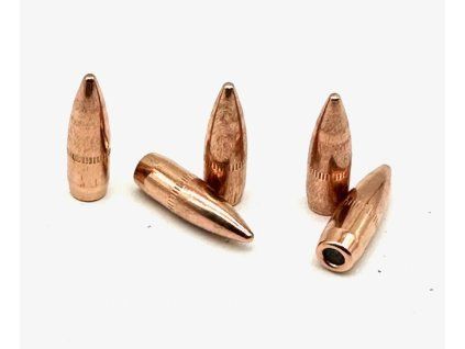 vyr 1074 Strely PPU 223 Rem FMJ 55gr