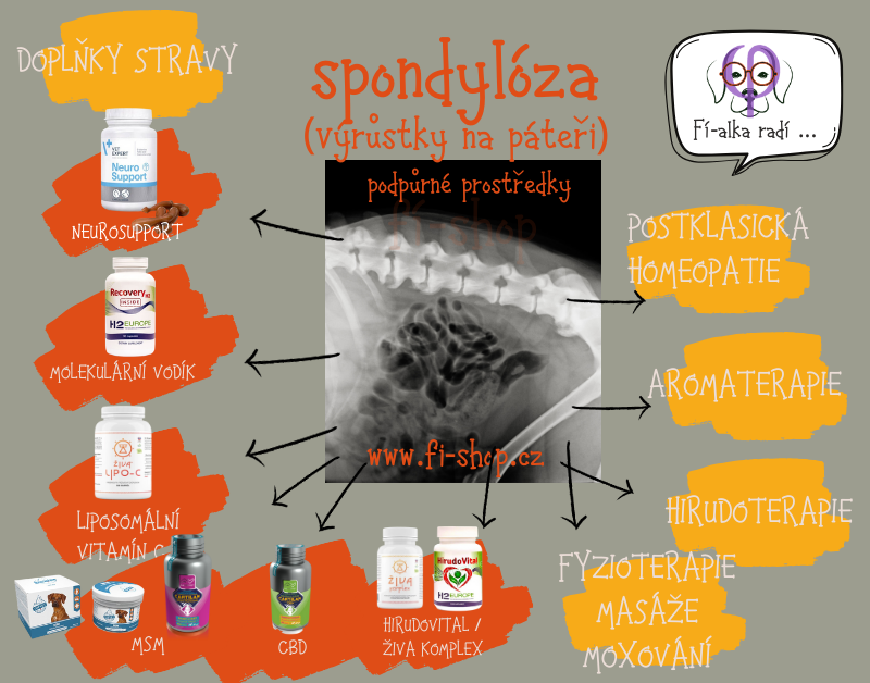 SPONDYLOZA (výrůstky na páteři) u psa a kočky