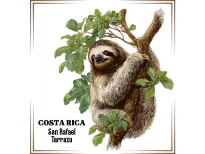 Costa Rica Tarrazupngorez