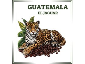 2025GuatemalaElJaguarpng