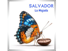 20252LaMajada