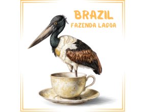 2025Brasil Fazendapng