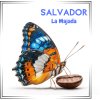 20252LaMajada