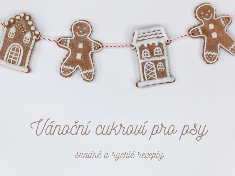 Pečeme chlupáčům