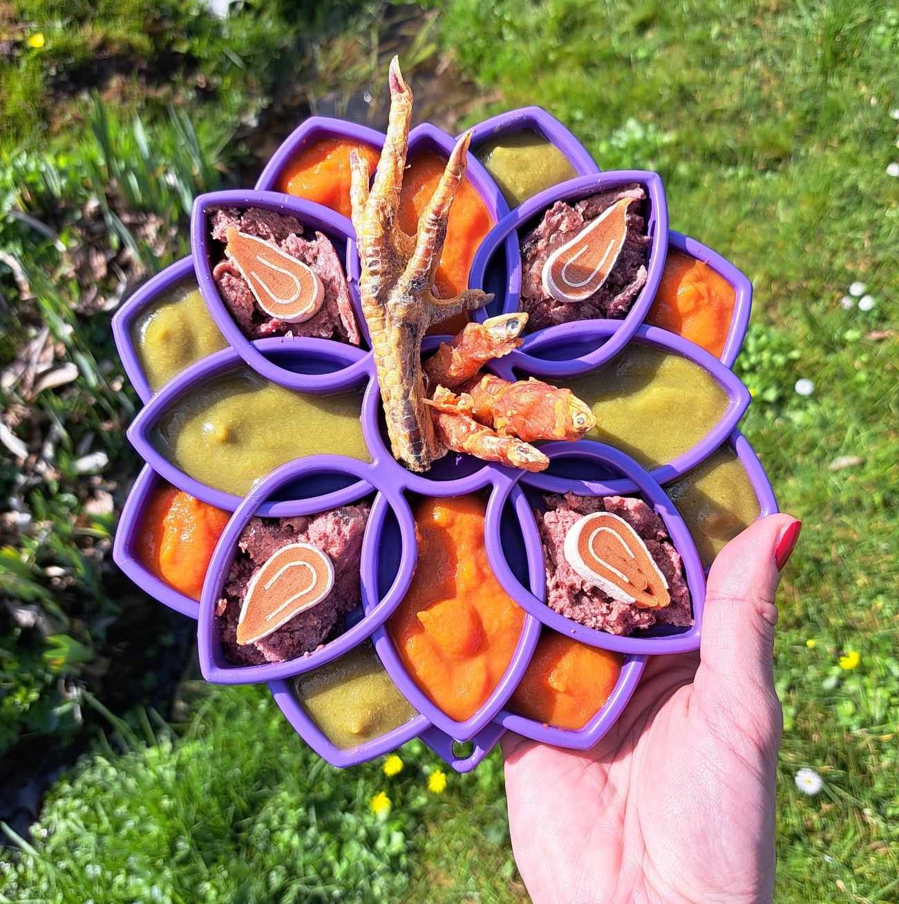 Co přinese senzorická miska mému chlupáči?