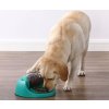 dog spin n eat 02