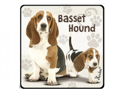 NH136 Basset Hound 800x600