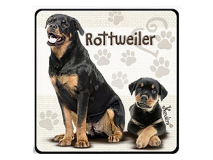 NH137 Rottweiler 800x600