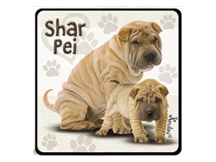 NH134 Shar pei 800x600