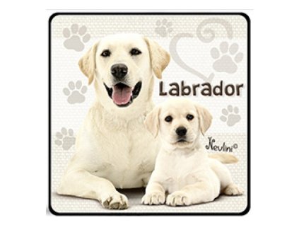 NH142 Labrador 800x600