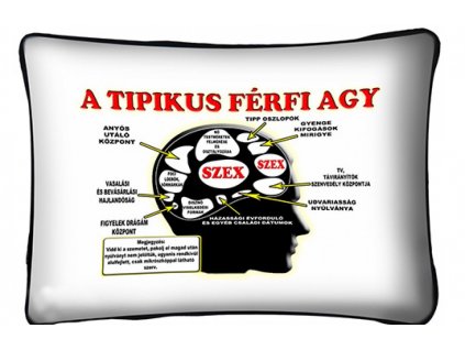 large 1604353789 h 250 P029 Tipikus férfi agy