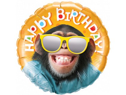 happybirthdaymonkey 600x