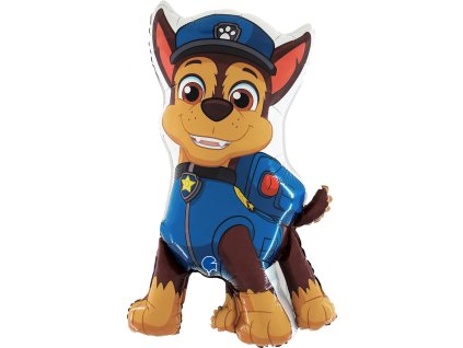 l199 paw patrol chase fr b