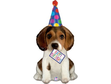 35561 birthday puppy b