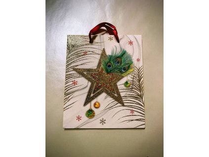 Darčeková taška vianočná 23x20 cm - 39.