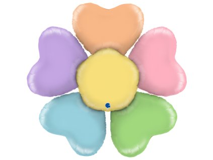 g72127 colorful daisy b
