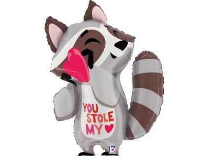 25424 stole my heart raccoon b