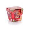 sviecka v skle gingerbread cinnamon apple 115 g