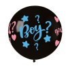 gender reveal