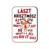 large 1729172775 h 250 fh146 vicces fa hutomagnes laszt krisztmosz karacsonyi ajandek karacsonyi hutomagnes ajandek mikulasra