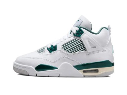 obrázek 2024 08 11 225427303