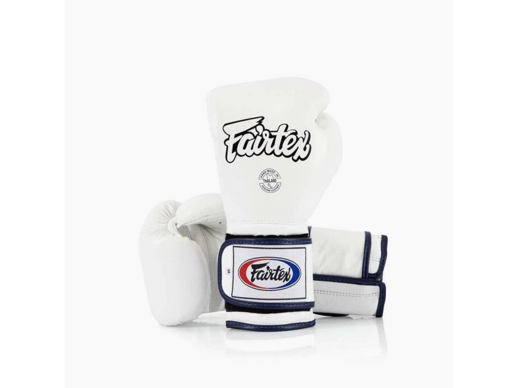 Amazon.com : Fairtex Muay Thai Boxing Gloves BGV9 - Heavy