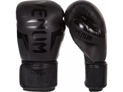 Boxing Gloves Venum Elite - Neo Matte/Black