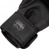 Boxing Gloves Venum Dragon's Flight - Black/Black (SIZE 10oz)